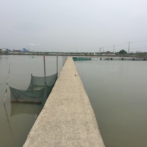 西太湖寨桥钓鱼农家乐