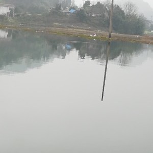 百泉湖