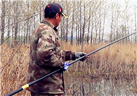 《三本先生》傳統釣第93期 雜草塘逗釣大板鯽，選擇窩點是關鍵