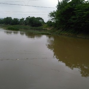 龙头铺太平河