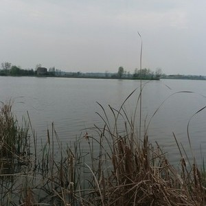 庆寿寺湖