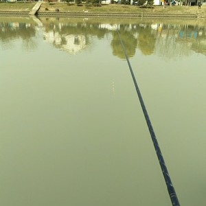 新泗港河