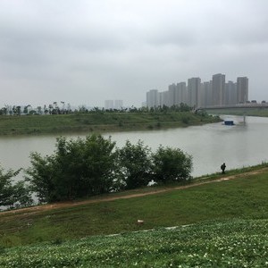 靳江河