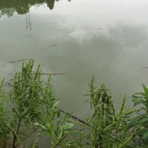 上山坞水库