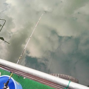 千岛湖钓鱼俱乐部