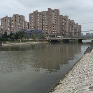 川杨河