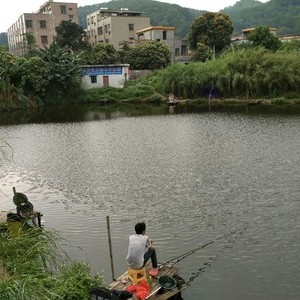 鹿鸣湖