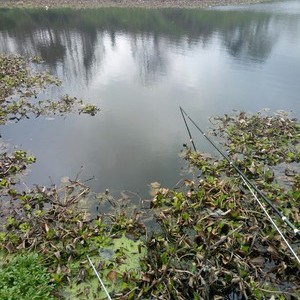成青湖