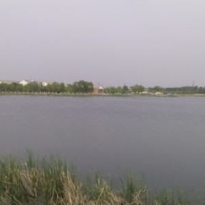 龙居湖