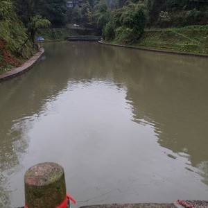 田大壮钓场