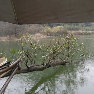 淡水湖水库