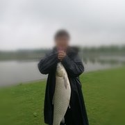 大雨天泖田湿地路亚草鱼