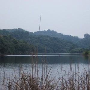 斗山桥水库