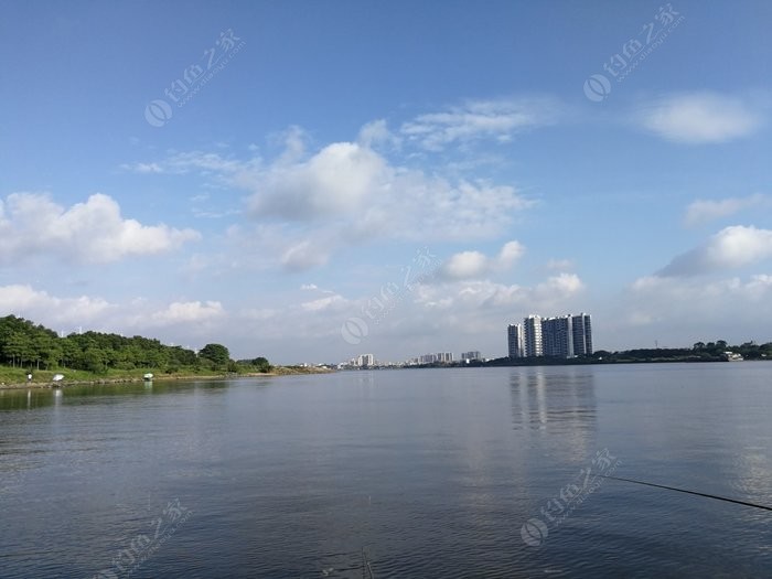 東莞石排,東江釣魚3號碼頭!