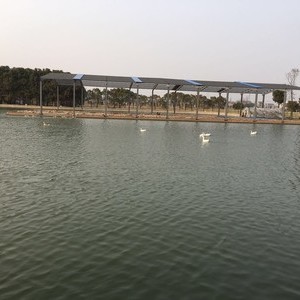 杨树湾垂钓中心