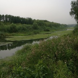 小清河