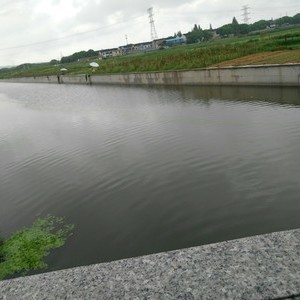 丰田河