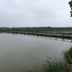 济青河