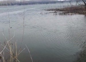 观音岩水库天气预报