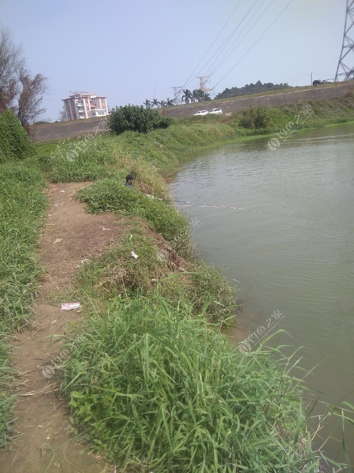 东平水道,想去试试,最近有钓友在钓过么 钓鱼之家