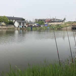 西河