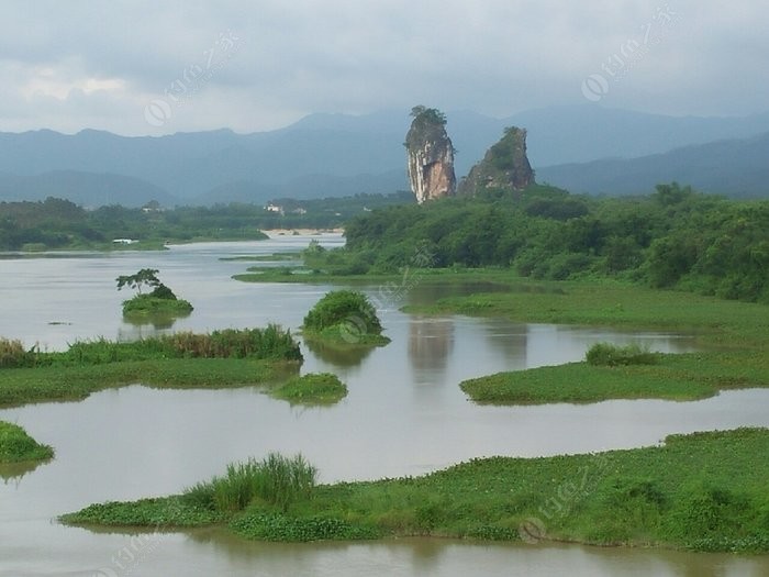 阳春鱼王石湿地公园图片