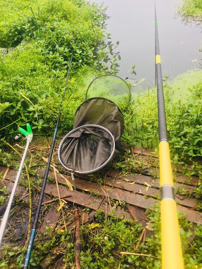 雨天做釣有雨有魚雨雨魚魚 - 釣魚之家