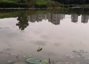 龍溪湖度假村