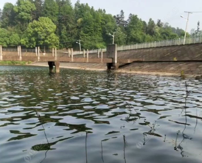 天长川桥水库