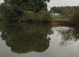 天目琴谷水库
