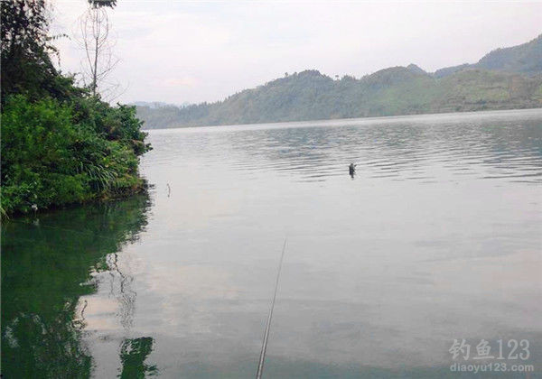 江河釣魚技巧