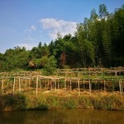 回家乡钓黑坑，遇雷暴雨，鱼获不错